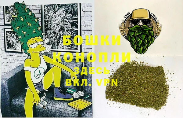 дмт Алексин
