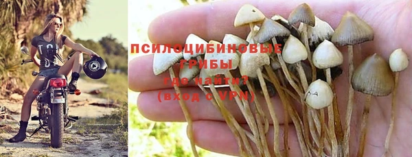 spice Арсеньев