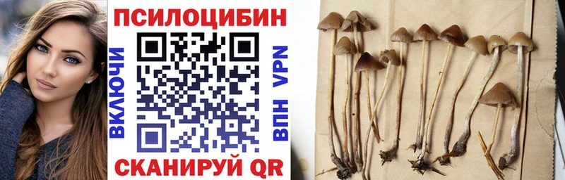 наркотики Ветлуга Псилоцибиновые грибы мухоморы